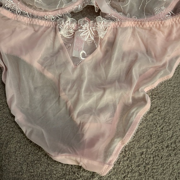 NWOT Elegant Pink Lace Lingerie Set by Woman Temptations. Bra 42C, Panties XXL - Picture 5 of 6